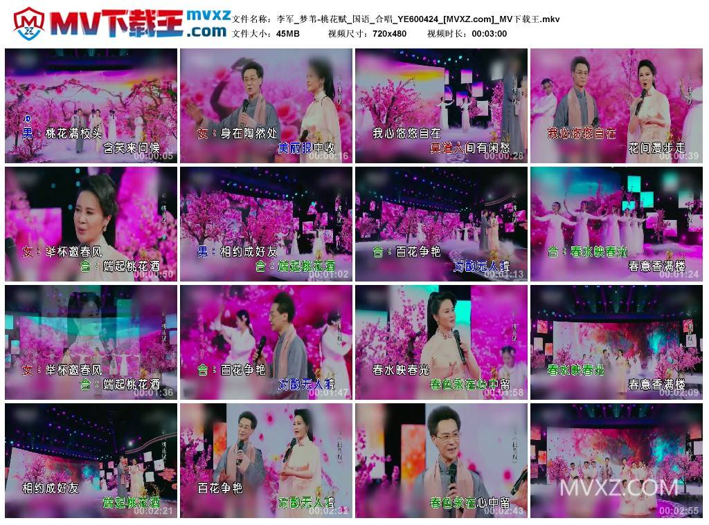 李军_梦苇-桃花赋_国语_合唱_YE600424
